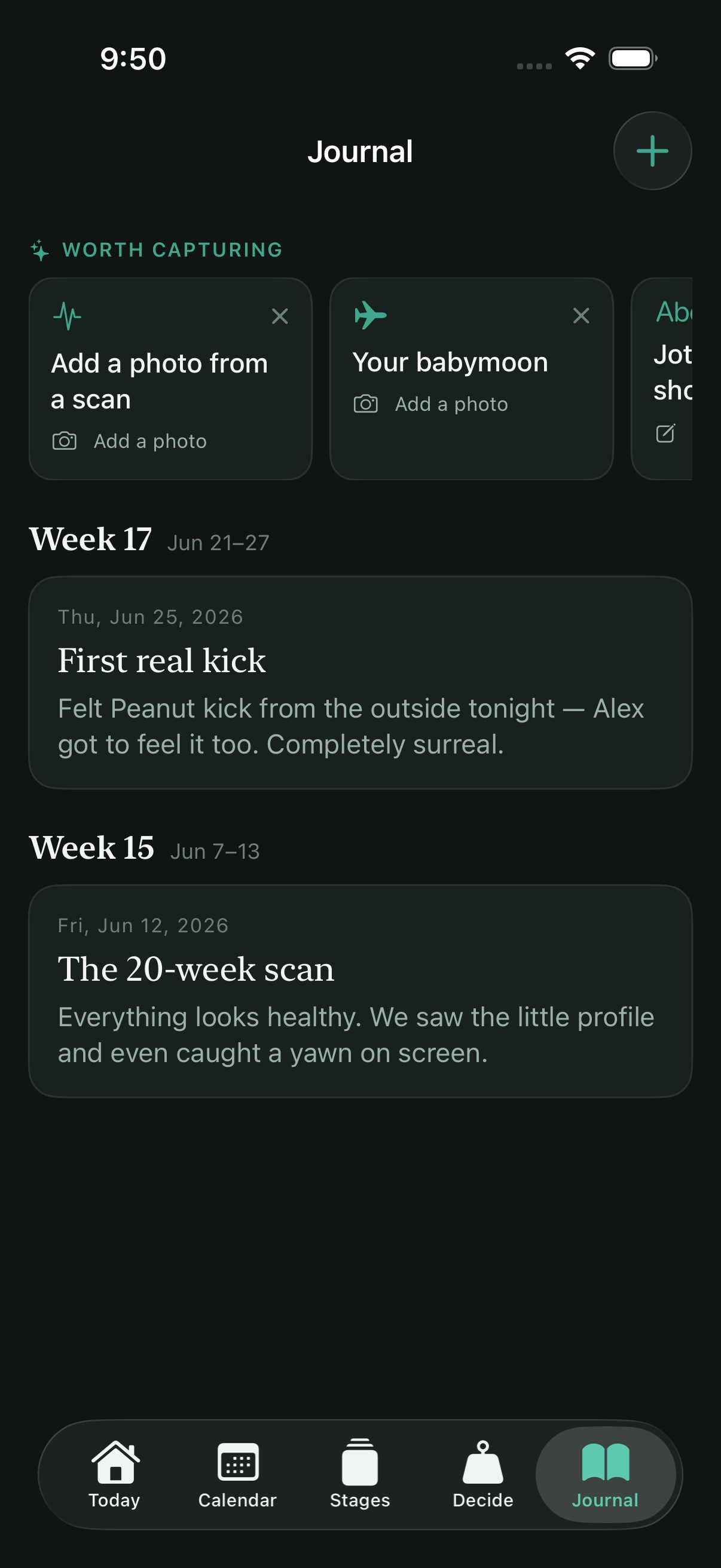The journal with photos and notes through the pregnancy