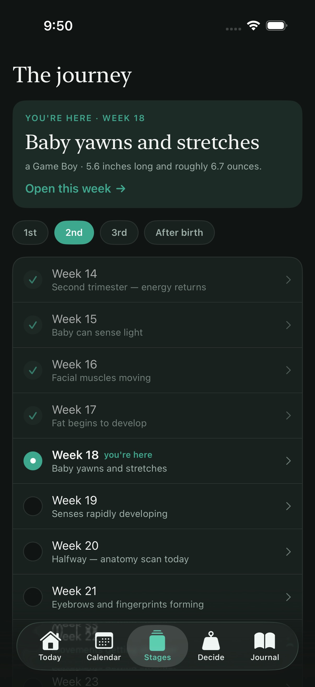 Dadoula Stages screen showing the week-by-week pregnancy journey