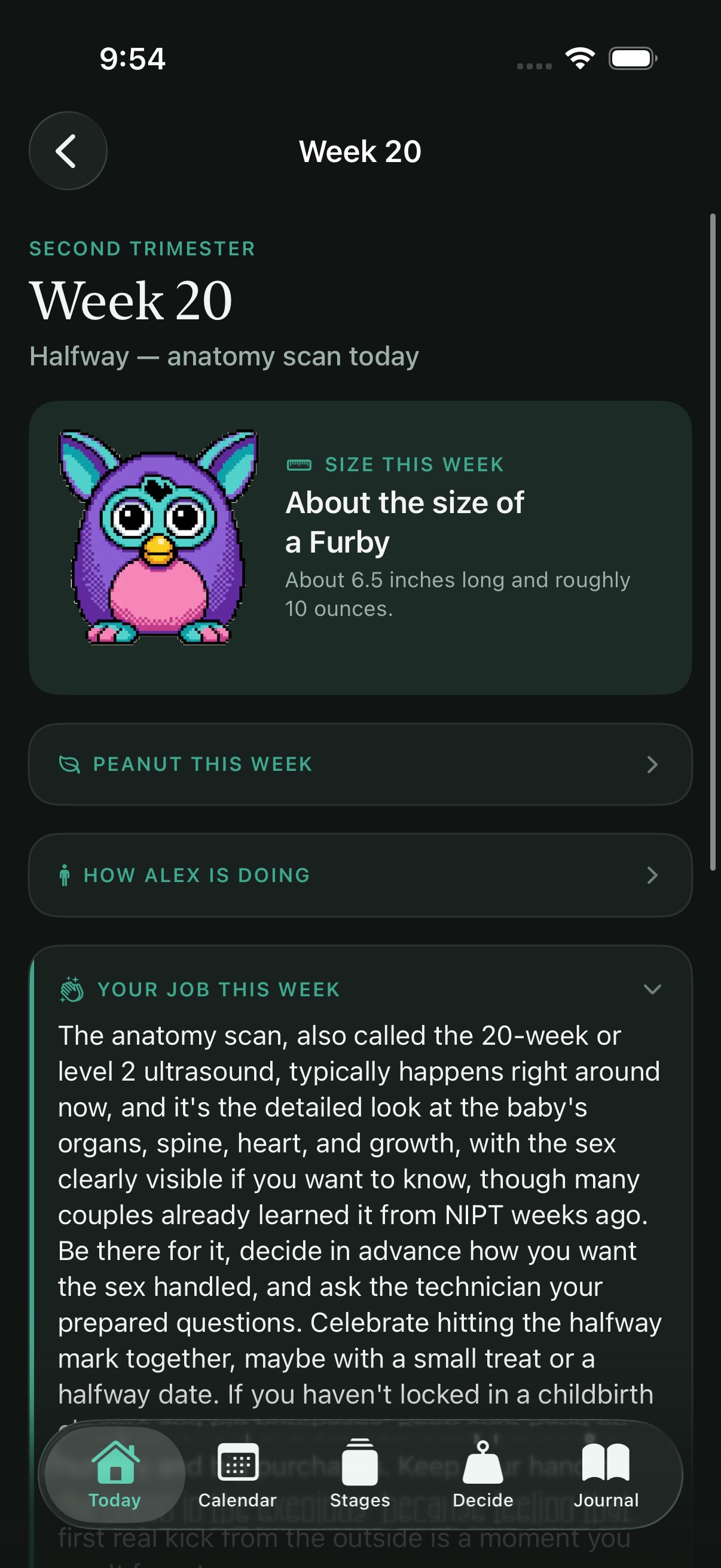 Dadoula week detail showing baby size and your job this week