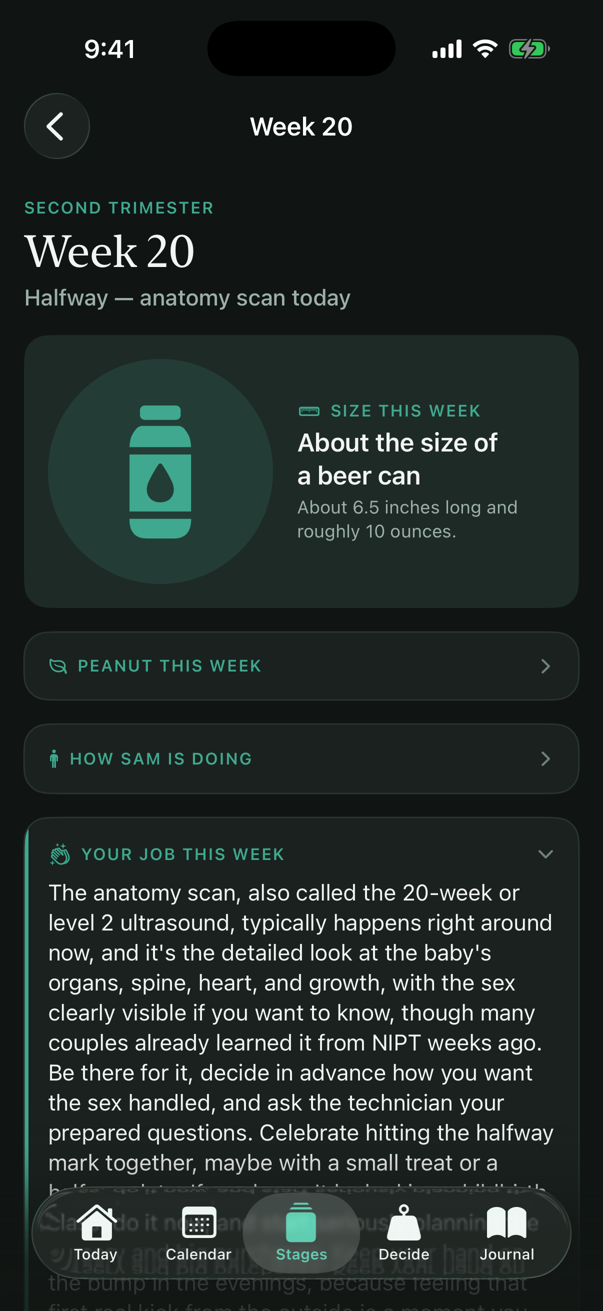 Dadoula week detail showing baby size and your job this week